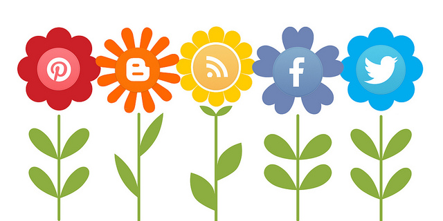 Facebook Pinterest Twitter