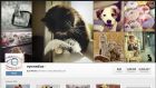 L&#039;amore su Instagram per San Valentino