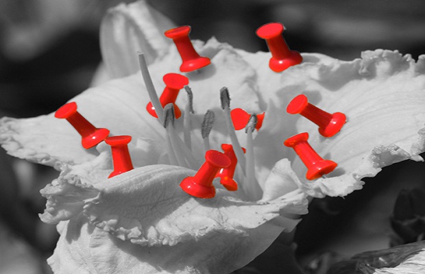 Pinterest pin
