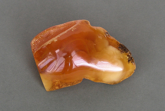 Ambra