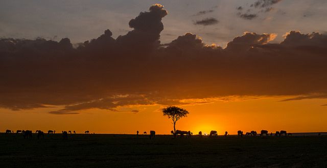 Kenya