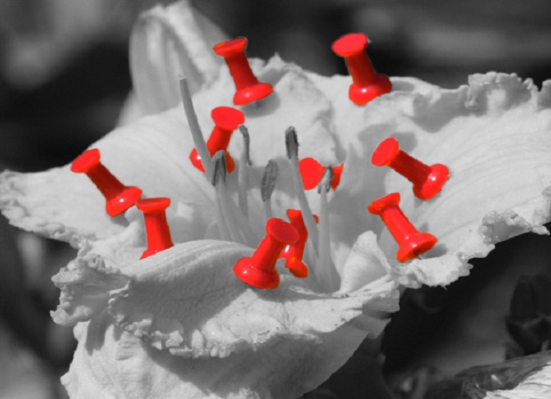 Pinterest pin